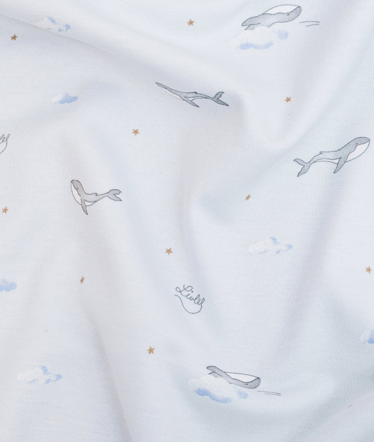 Whales Blanket