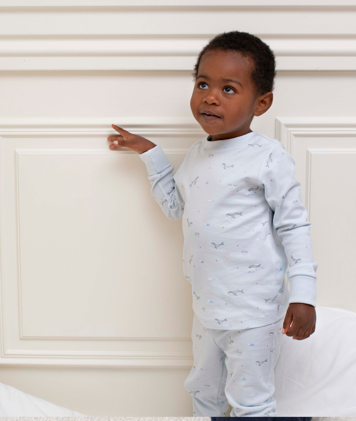 Whales 2 Piece Set
