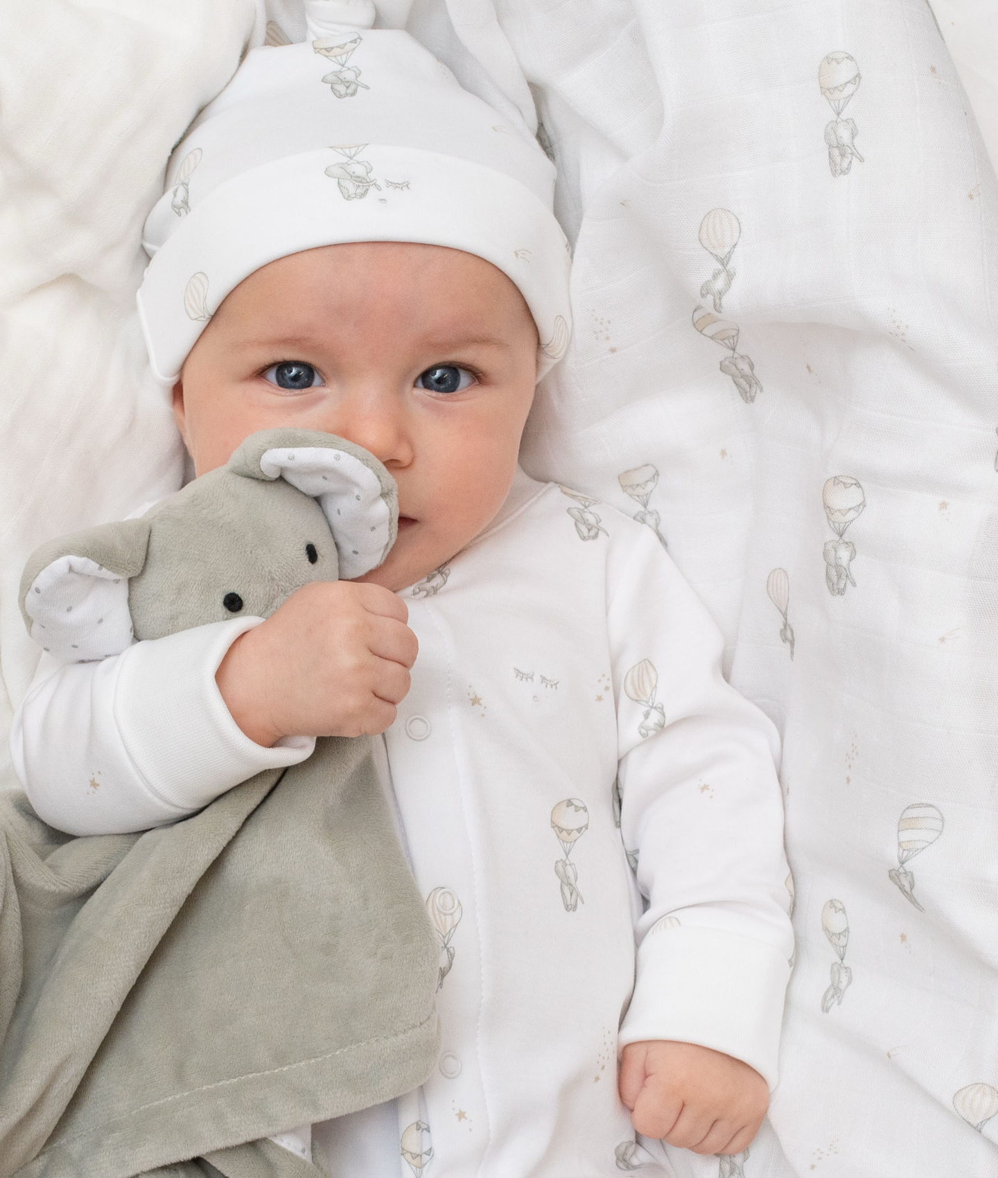 Flying Elephants Overall