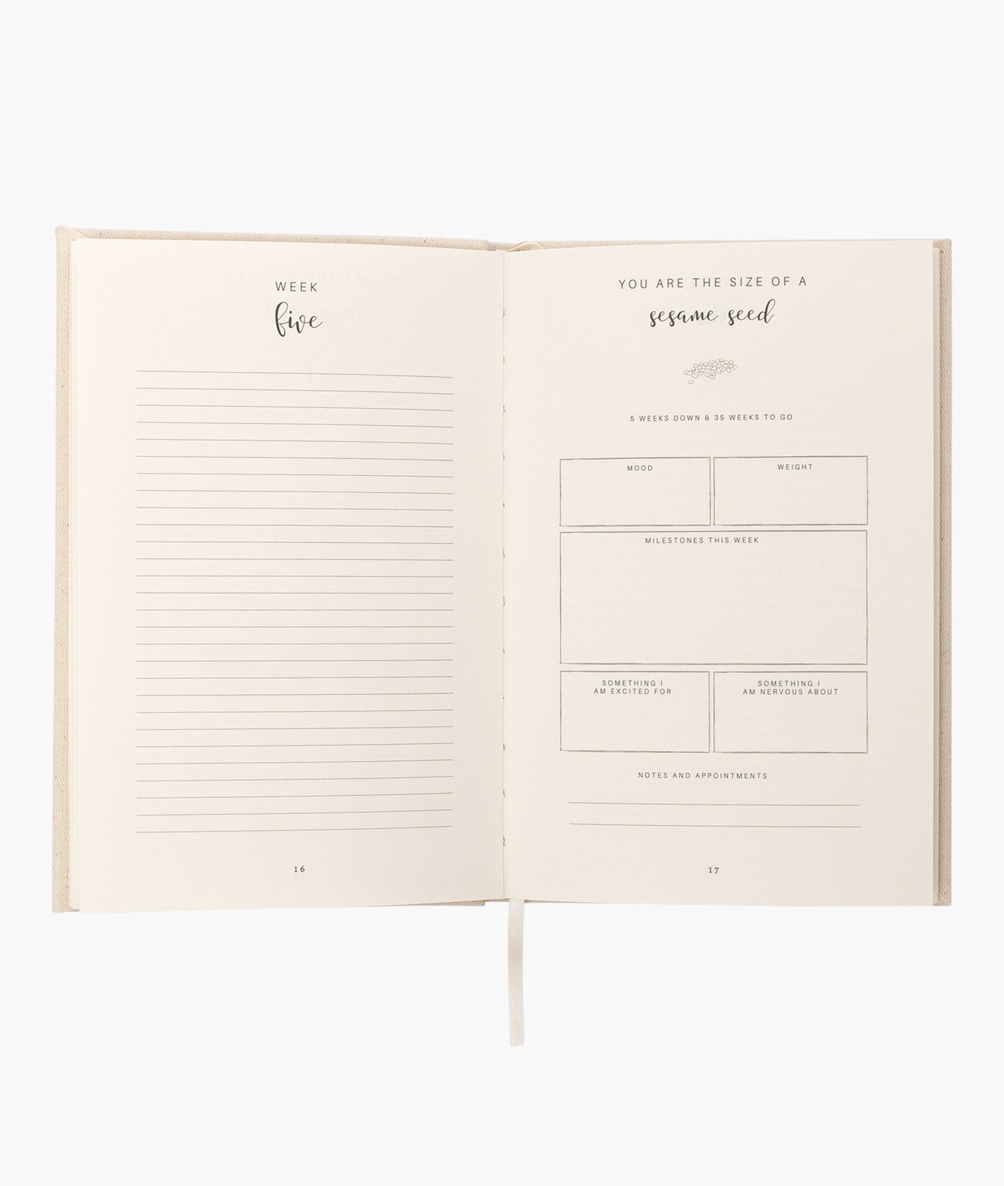 My Pregnancy Journal