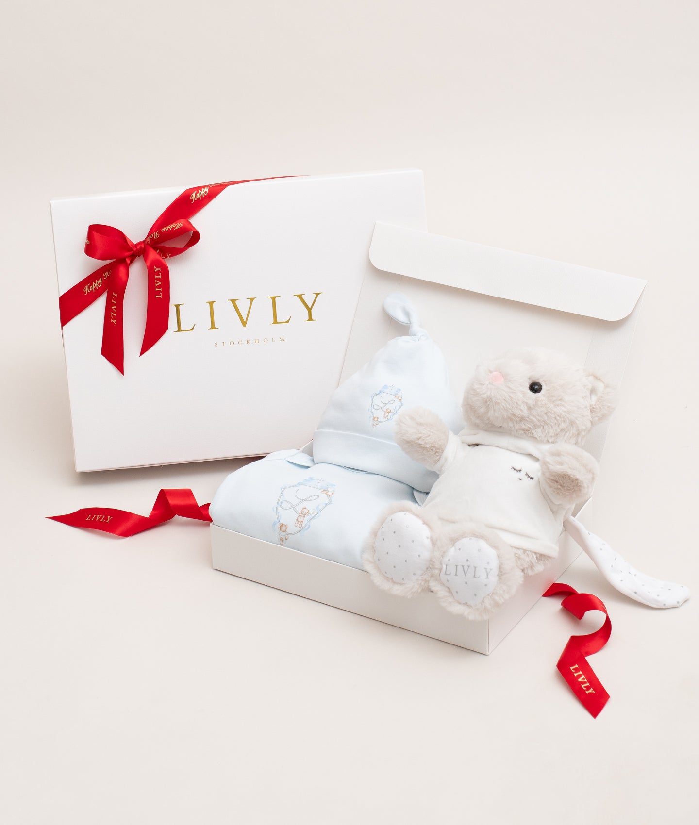 Teddy Tay Baby Kit